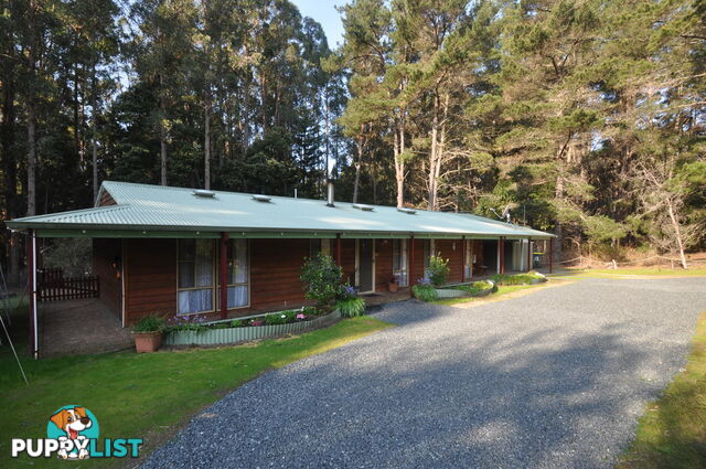 9 Karri Lane QUINNINUP WA 6258