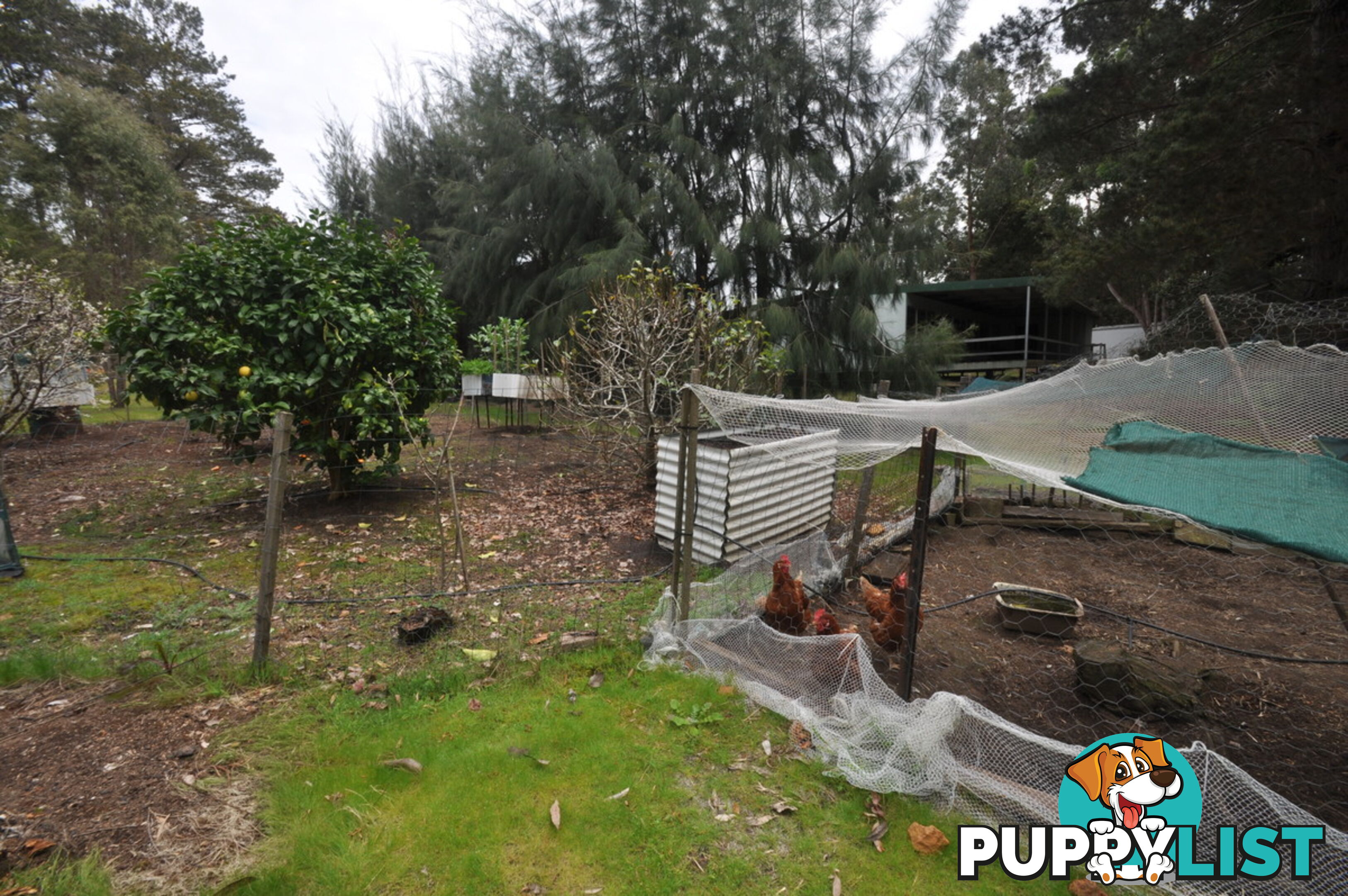 9 Karri Lane QUINNINUP WA 6258