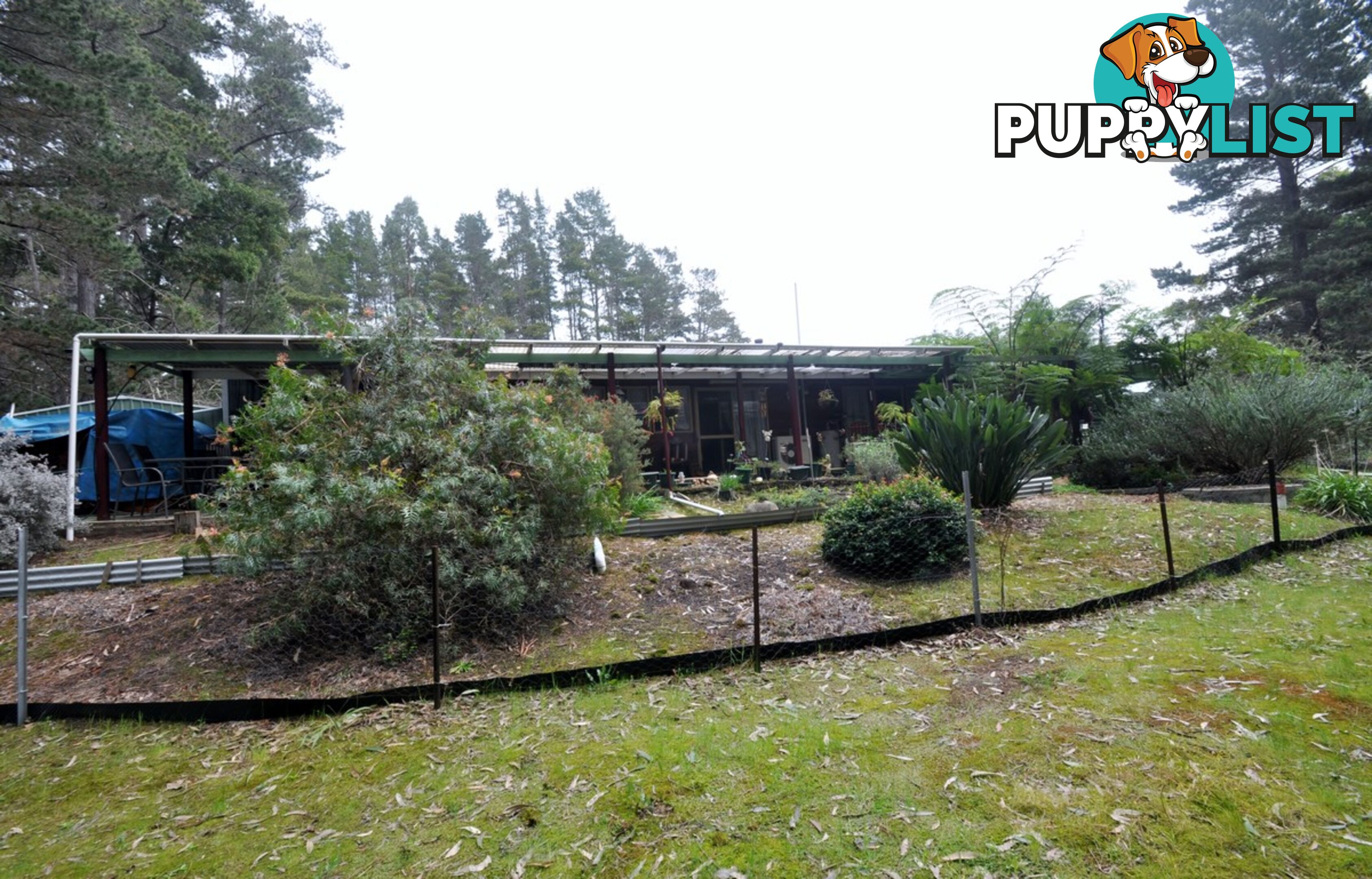 9 Karri Lane QUINNINUP WA 6258