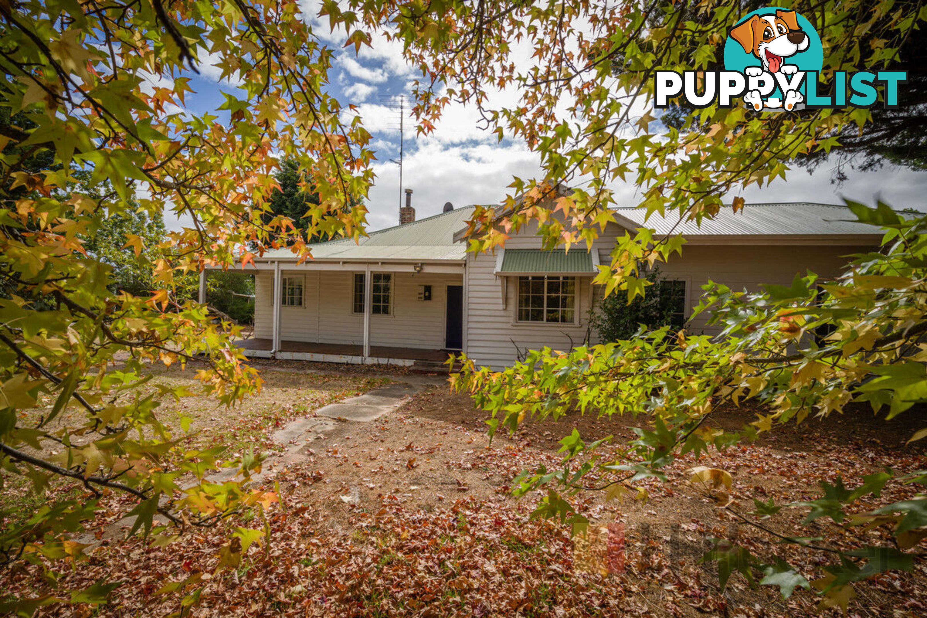 32 Brain Street MANJIMUP WA 6258