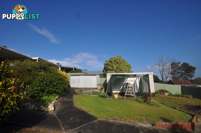 45 Jamieson Street PEMBERTON WA 6260