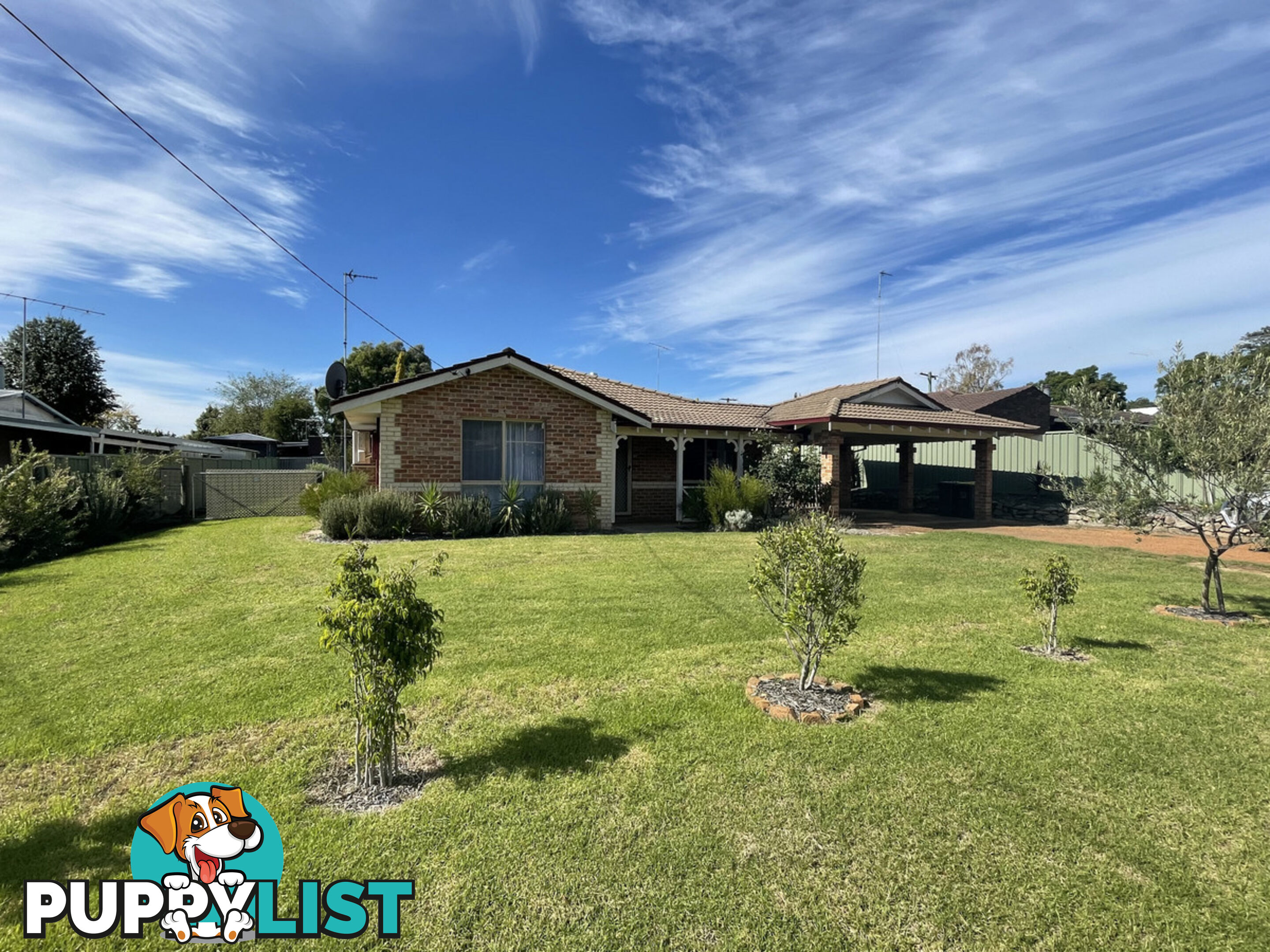 20 Reeve Street MANJIMUP WA 6258