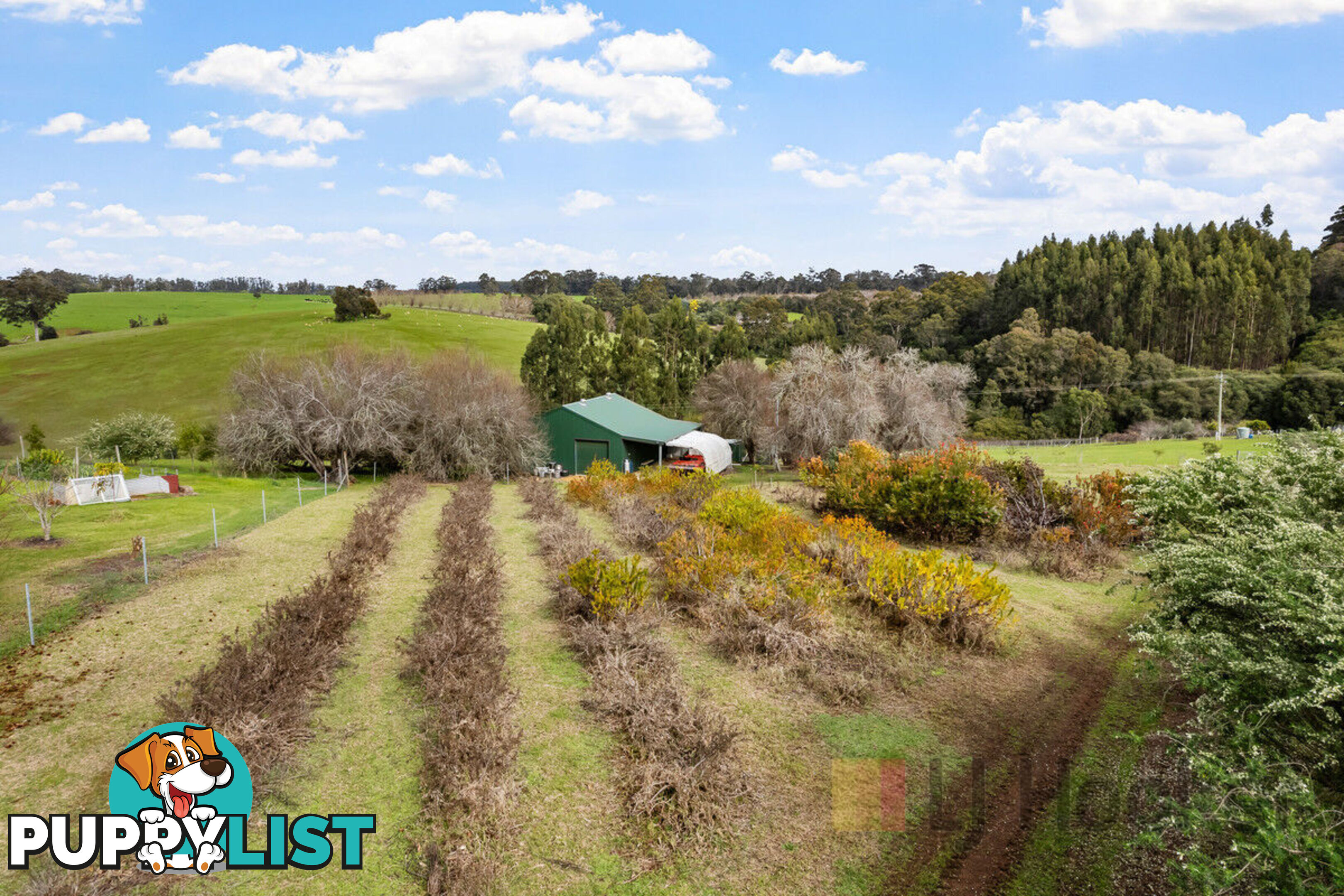 151 Pump Hill Road (Channybearup) PEMBERTON WA 6260