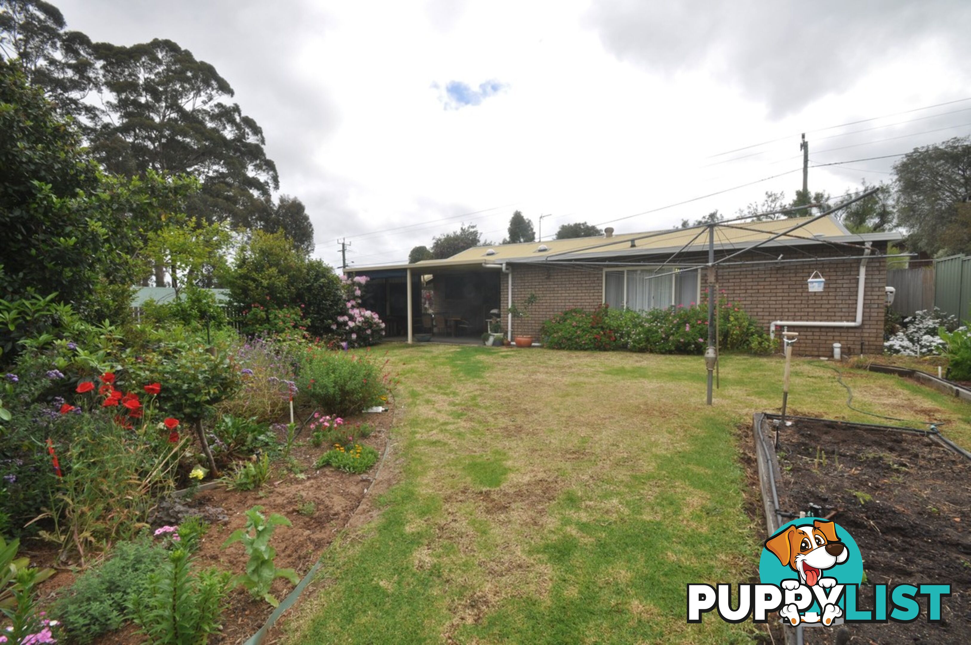 38 Robinson Street PEMBERTON WA 6260