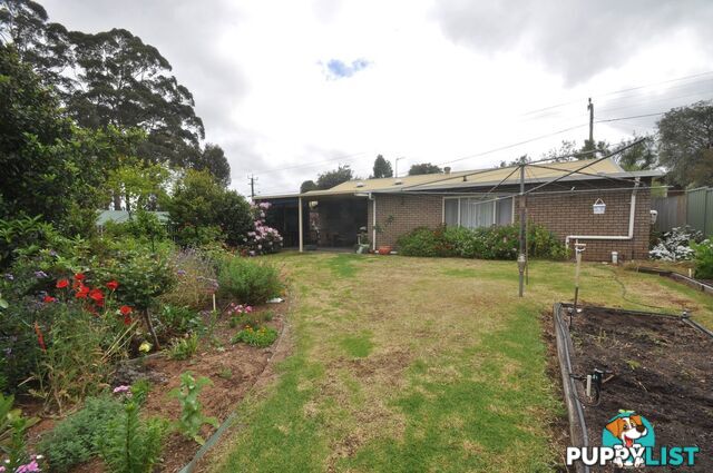 38 Robinson Street PEMBERTON WA 6260