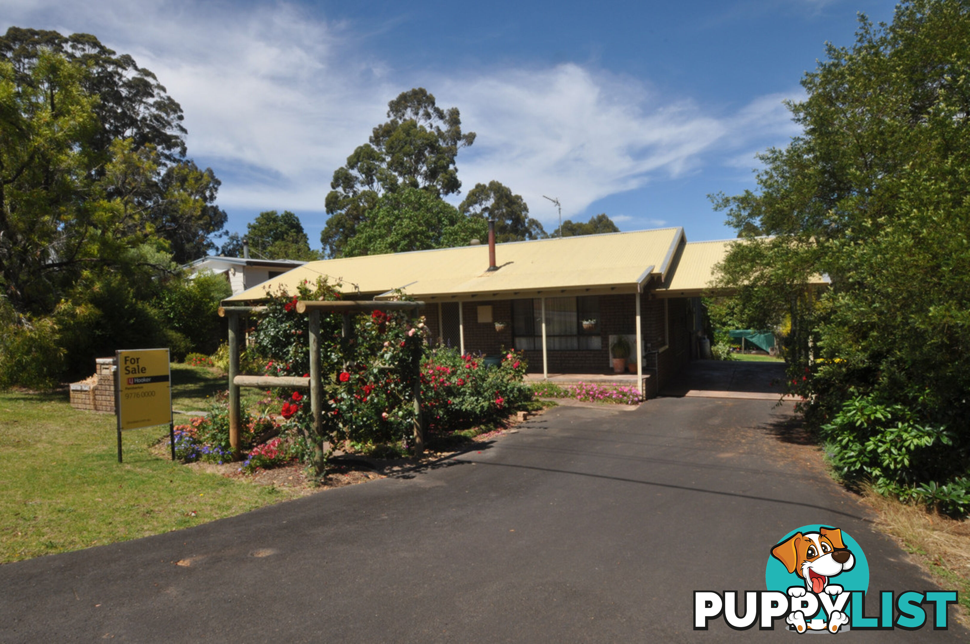 38 Robinson Street PEMBERTON WA 6260