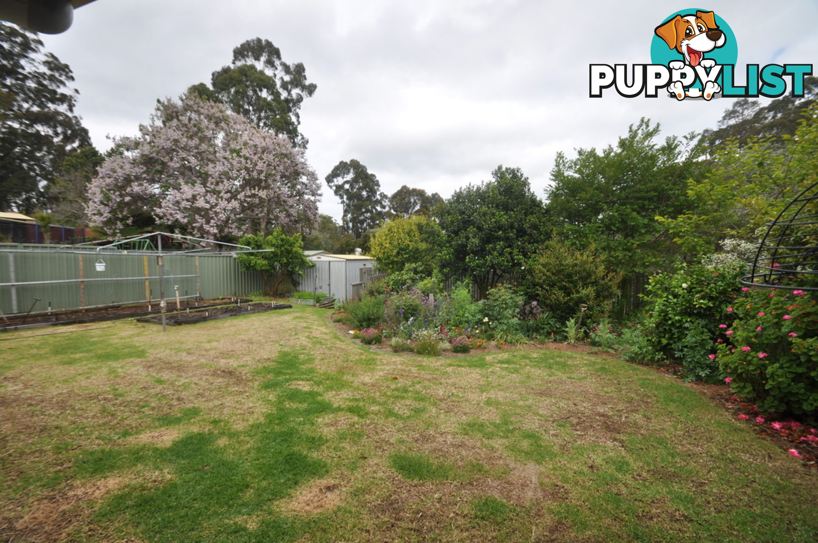 38 Robinson Street PEMBERTON WA 6260