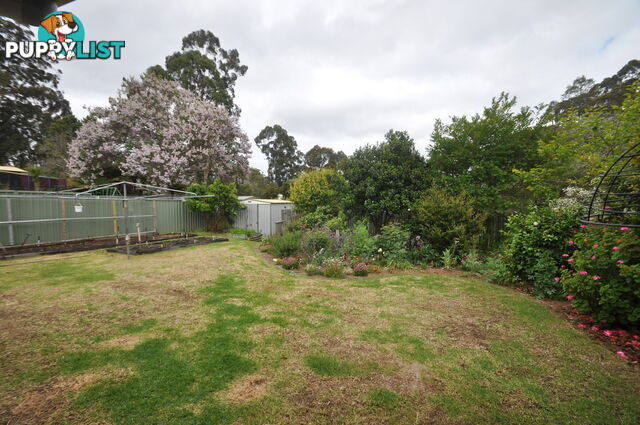 38 Robinson Street PEMBERTON WA 6260