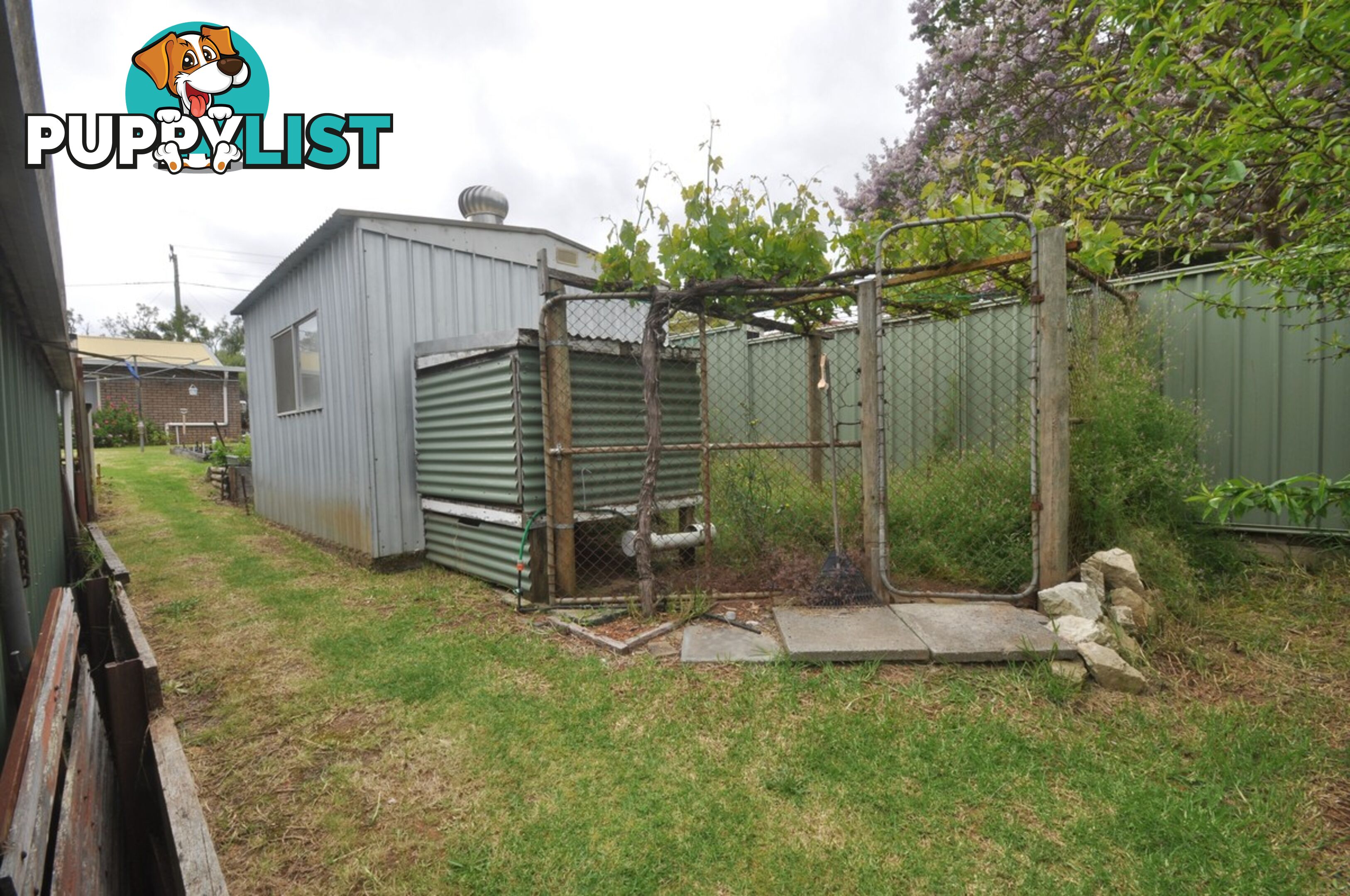 38 Robinson Street PEMBERTON WA 6260