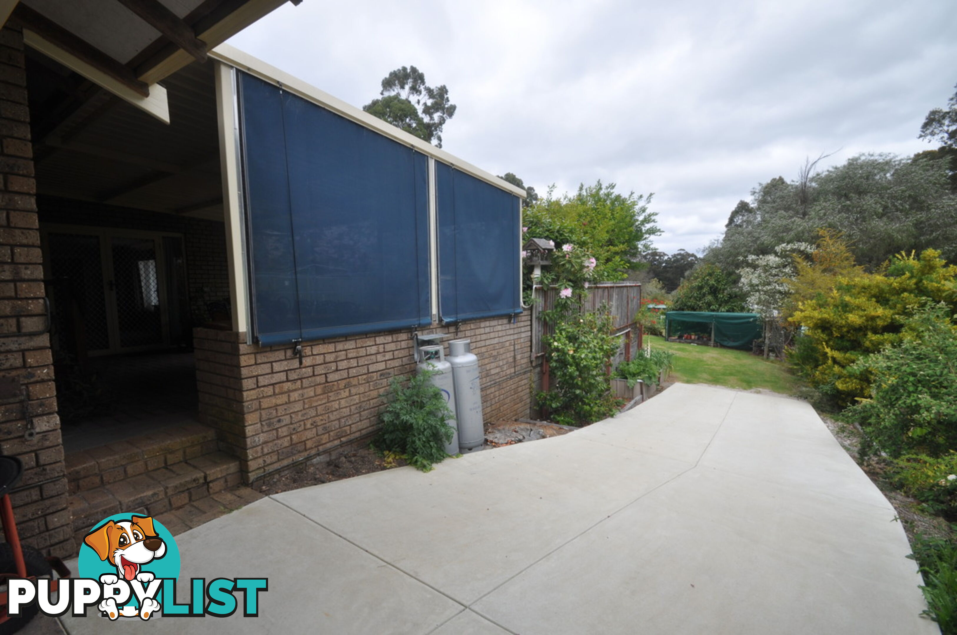 38 Robinson Street PEMBERTON WA 6260