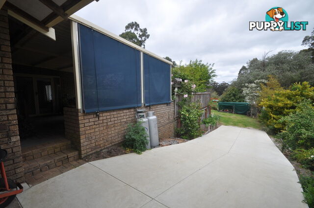 38 Robinson Street PEMBERTON WA 6260