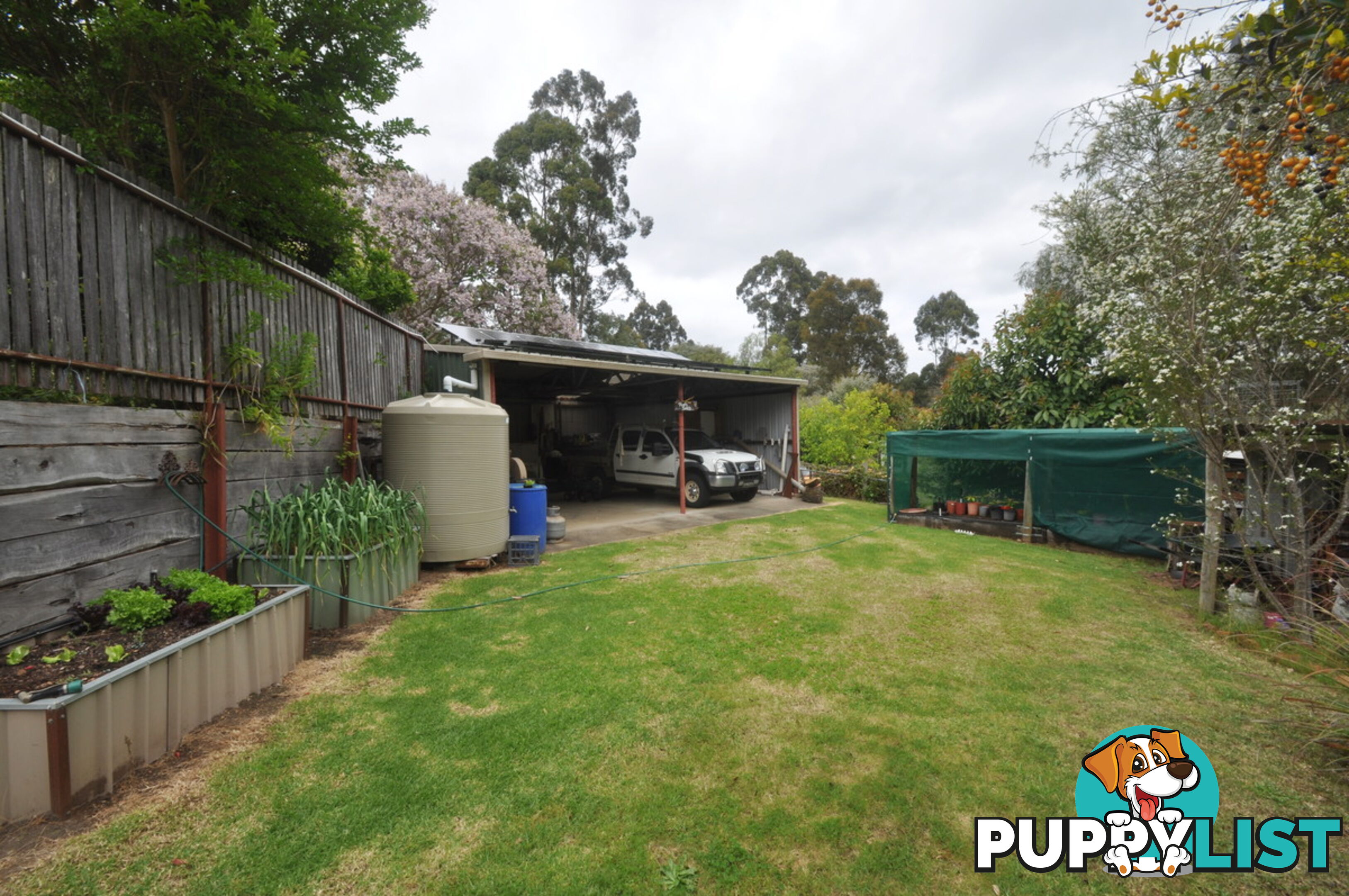 38 Robinson Street PEMBERTON WA 6260