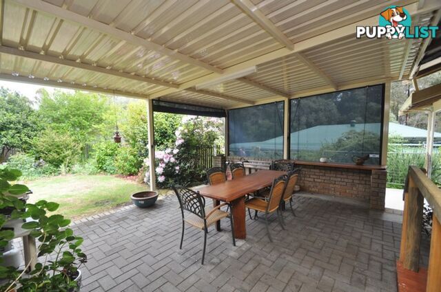 38 Robinson Street PEMBERTON WA 6260