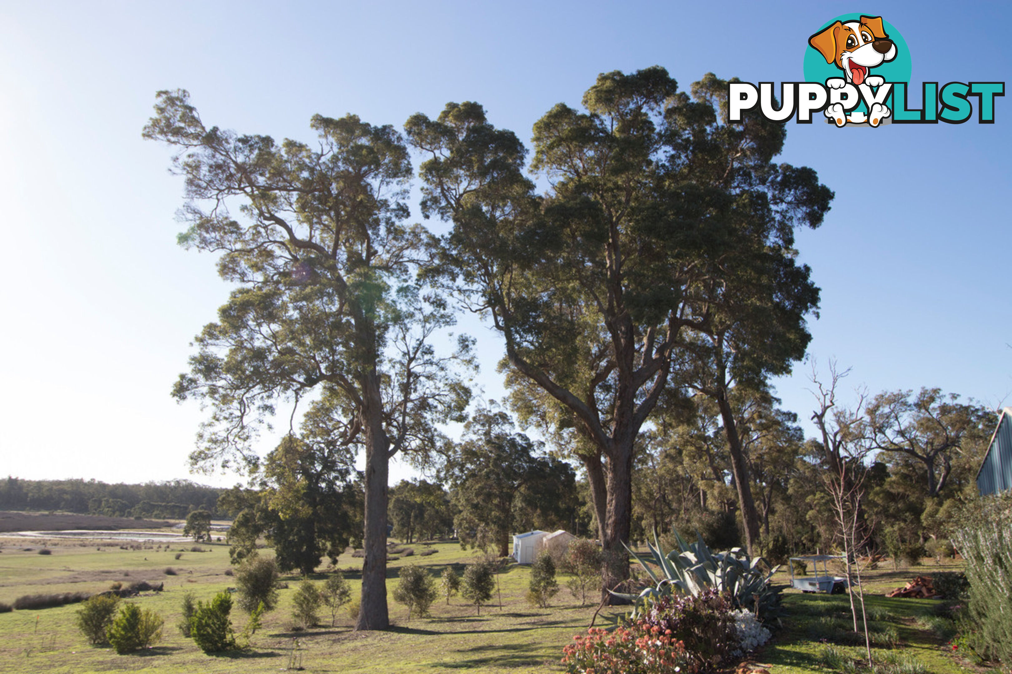 15 Balyan Retreat (Perup) MANJIMUP WA 6258