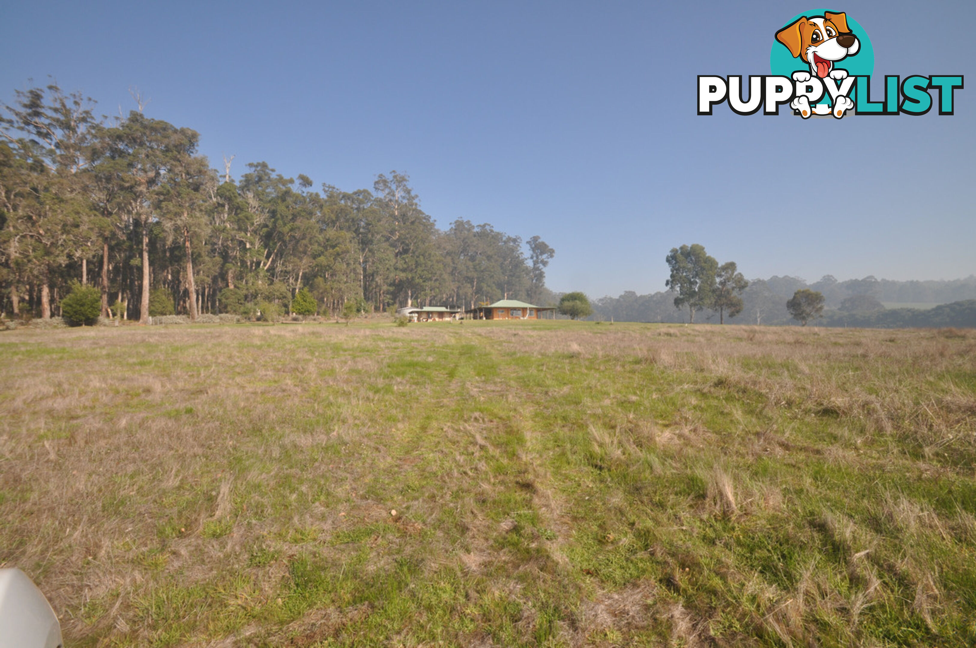 341 Piggott Road (Collins) PEMBERTON WA 6260