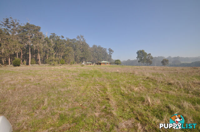 341 Piggott Road (Collins) PEMBERTON WA 6260