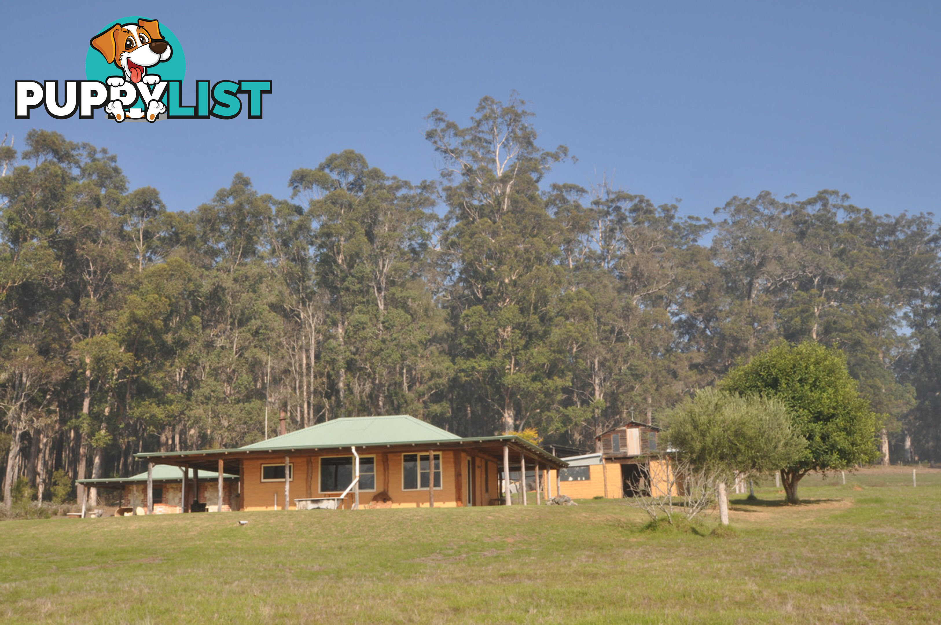 341 Piggott Road (Collins) PEMBERTON WA 6260