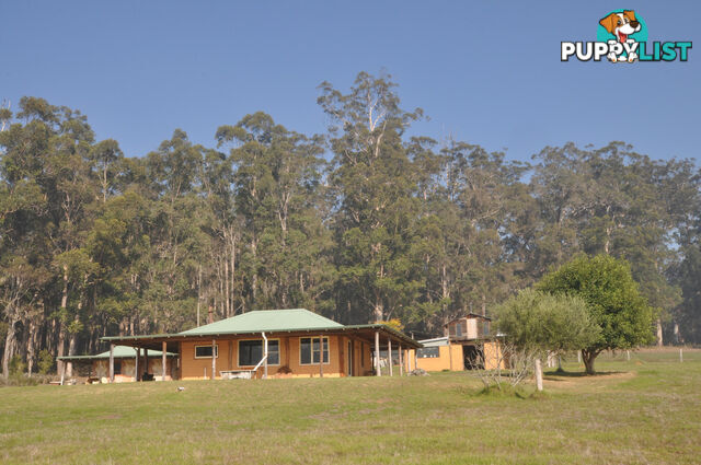 341 Piggott Road (Collins) PEMBERTON WA 6260