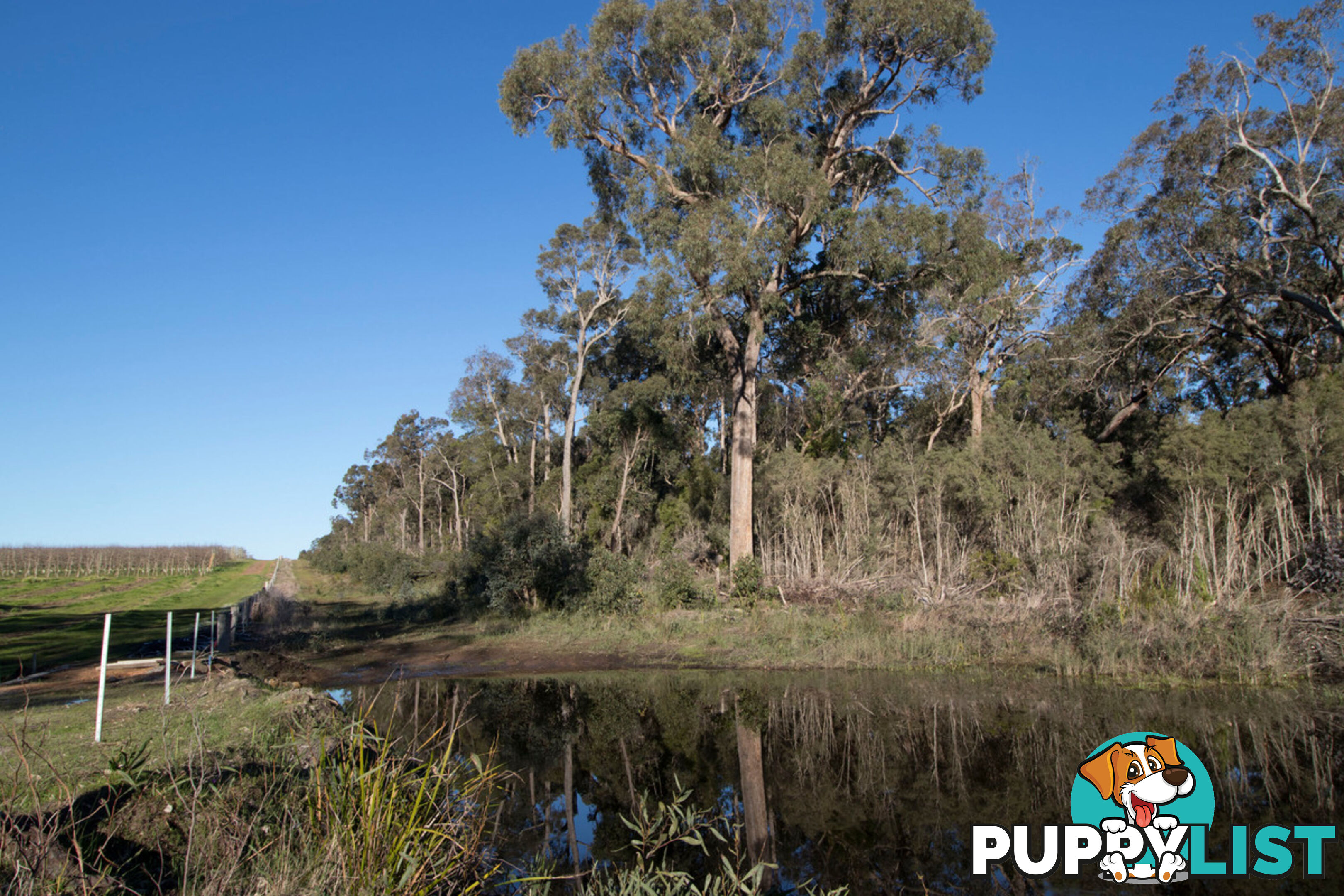 Lot 201 West Boundary Road MANJIMUP WA 6258