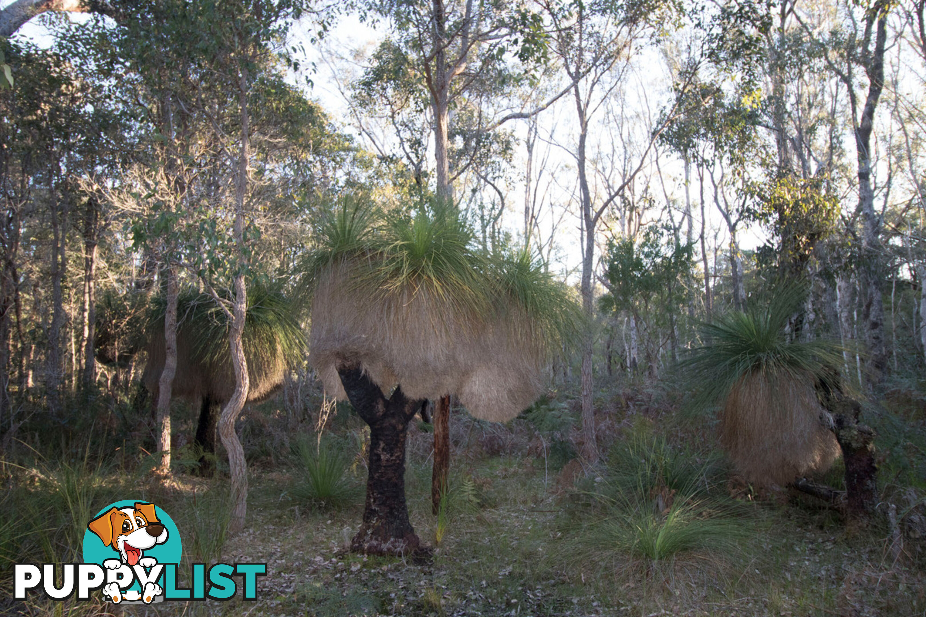 Lot 201 West Boundary Road MANJIMUP WA 6258