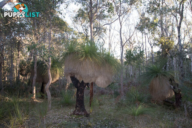 Lot 201 West Boundary Road MANJIMUP WA 6258