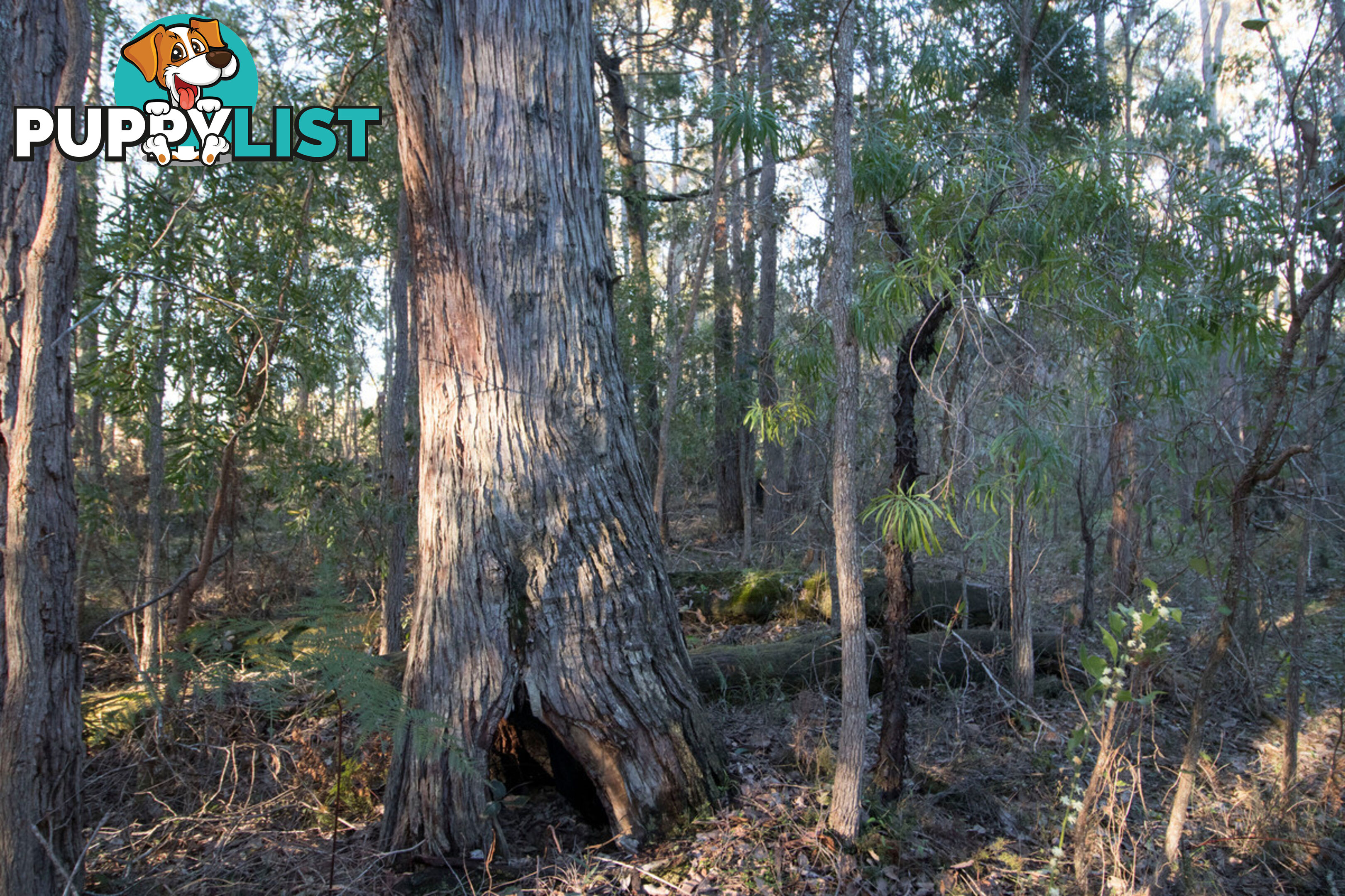 Lot 201 West Boundary Road MANJIMUP WA 6258