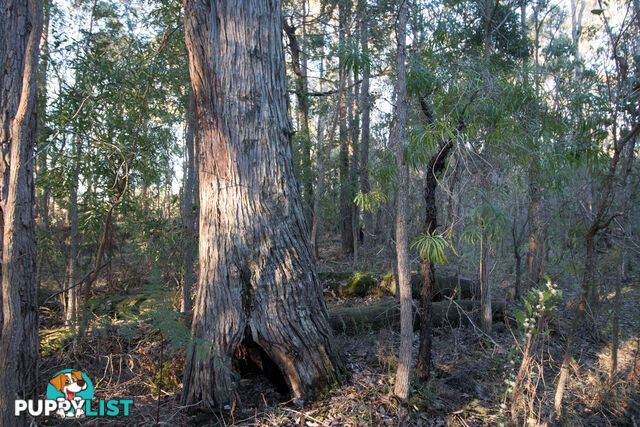 Lot 201 West Boundary Road MANJIMUP WA 6258