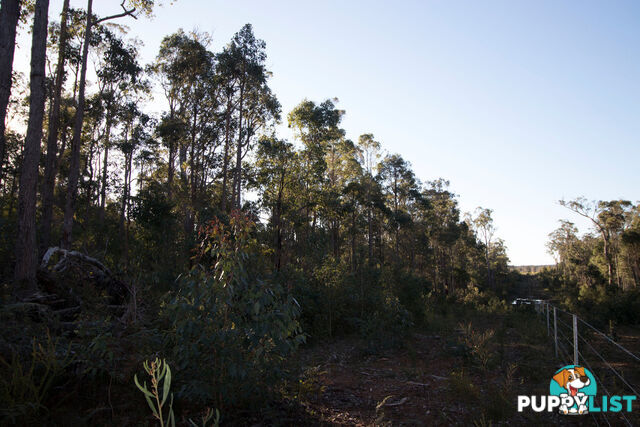 Lot 201 West Boundary Road MANJIMUP WA 6258