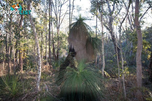 Lot 201 West Boundary Road MANJIMUP WA 6258