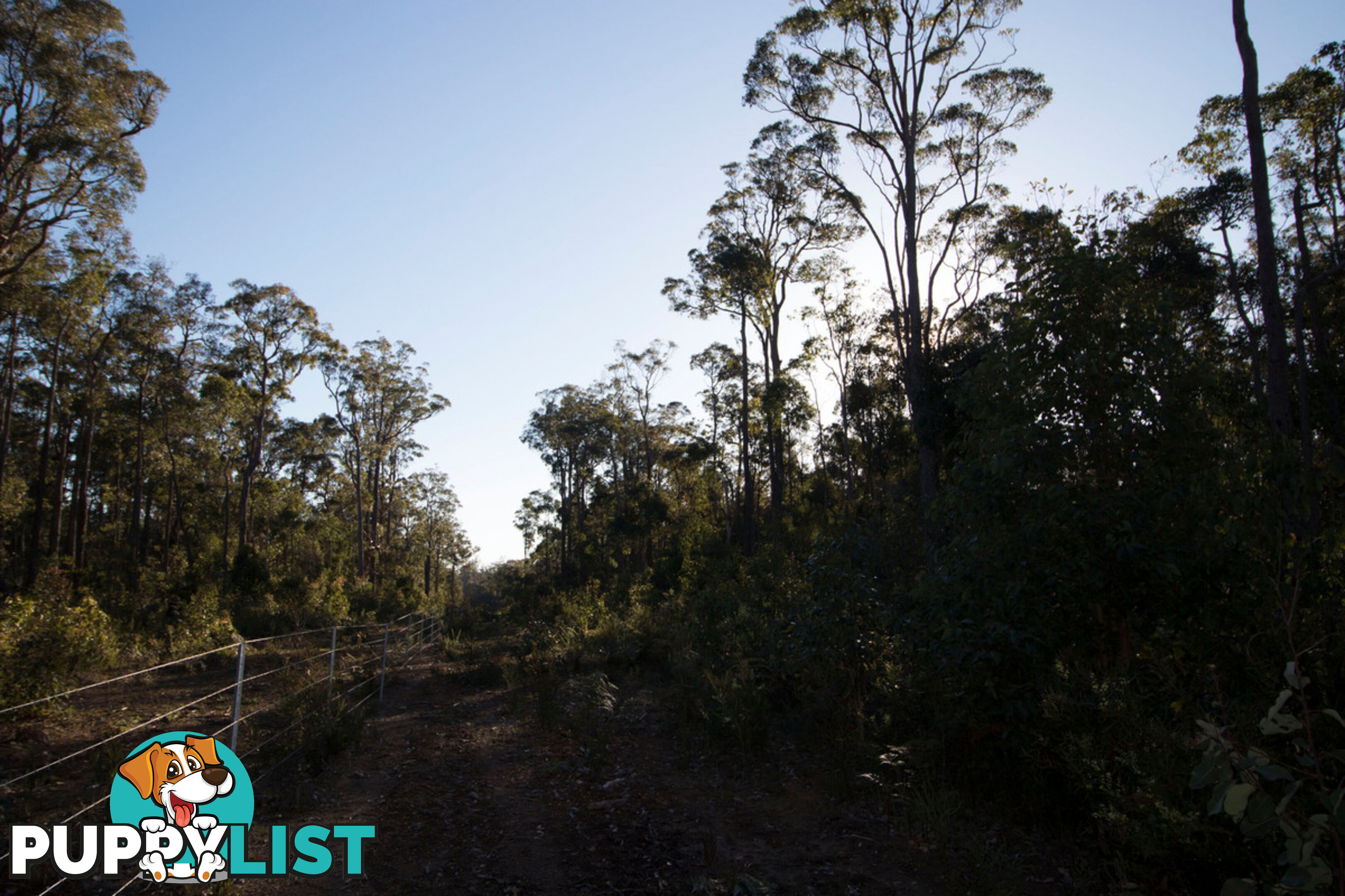 Lot 201 West Boundary Road MANJIMUP WA 6258