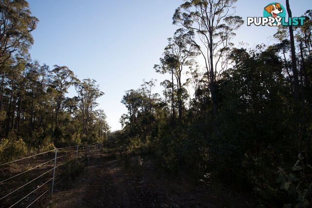 Lot 201 West Boundary Road MANJIMUP WA 6258