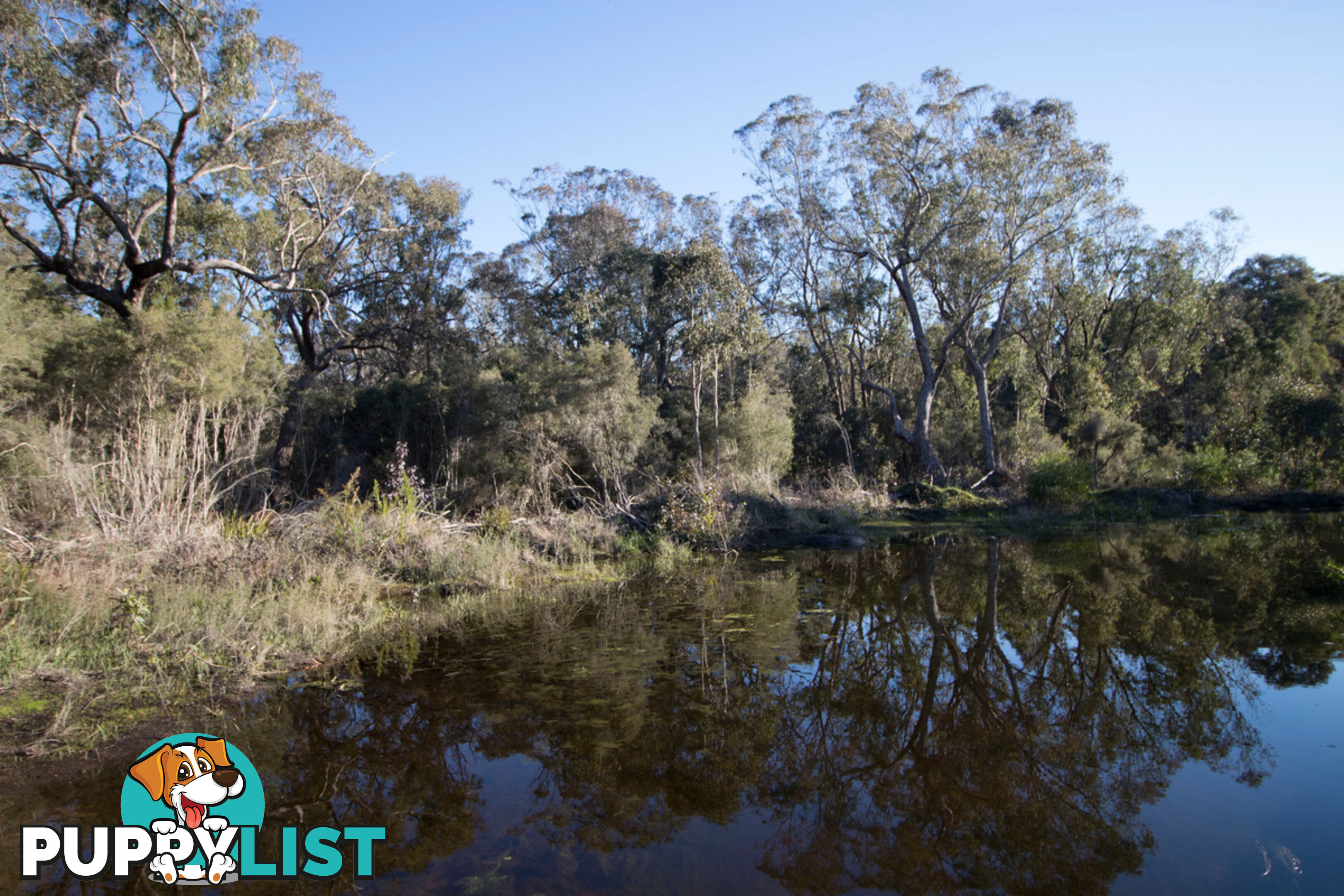 Lot 201 West Boundary Road MANJIMUP WA 6258