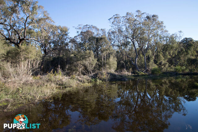 Lot 201 West Boundary Road MANJIMUP WA 6258