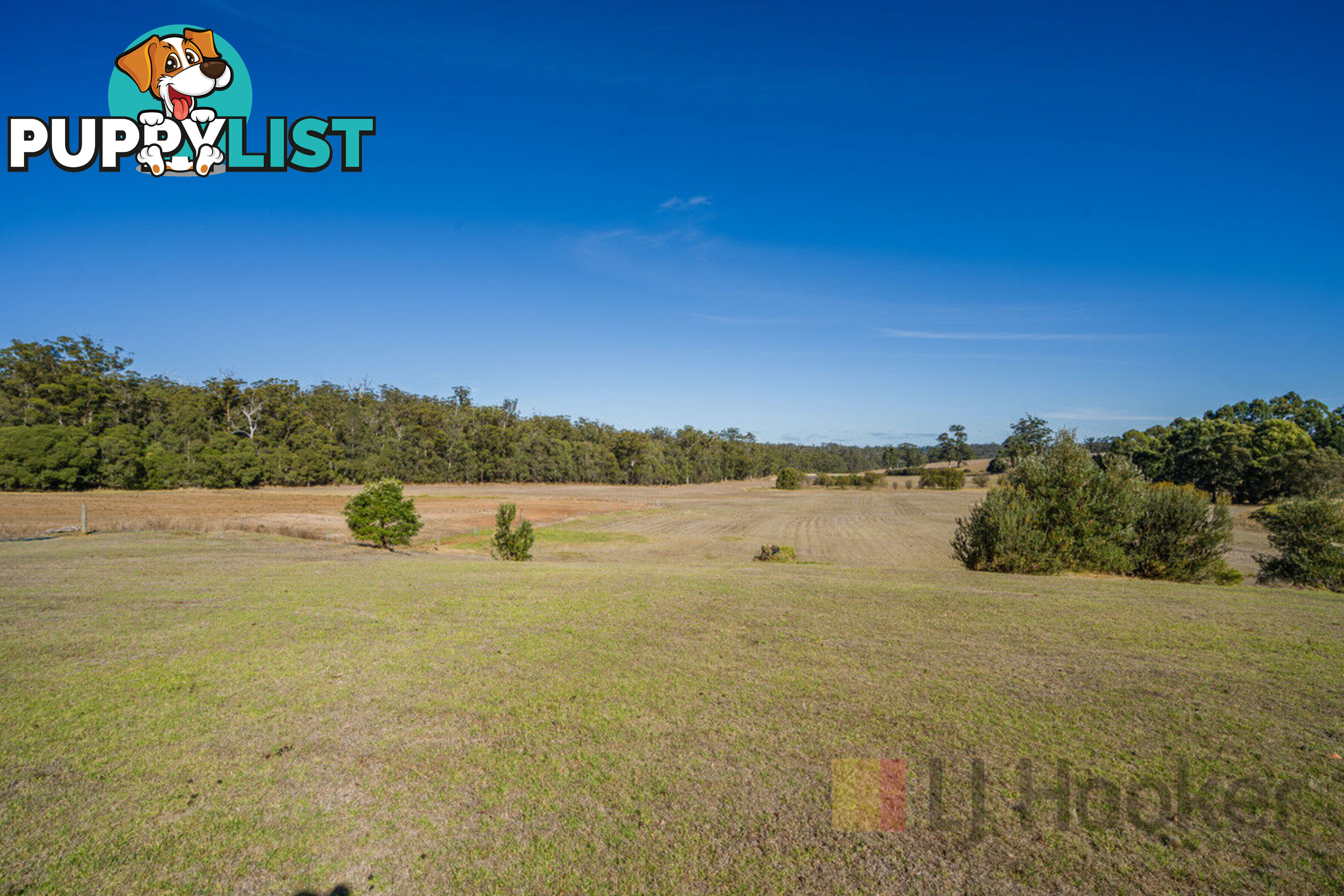 29406 South Western Highway (Diamond Tree) MANJIMUP WA 6258