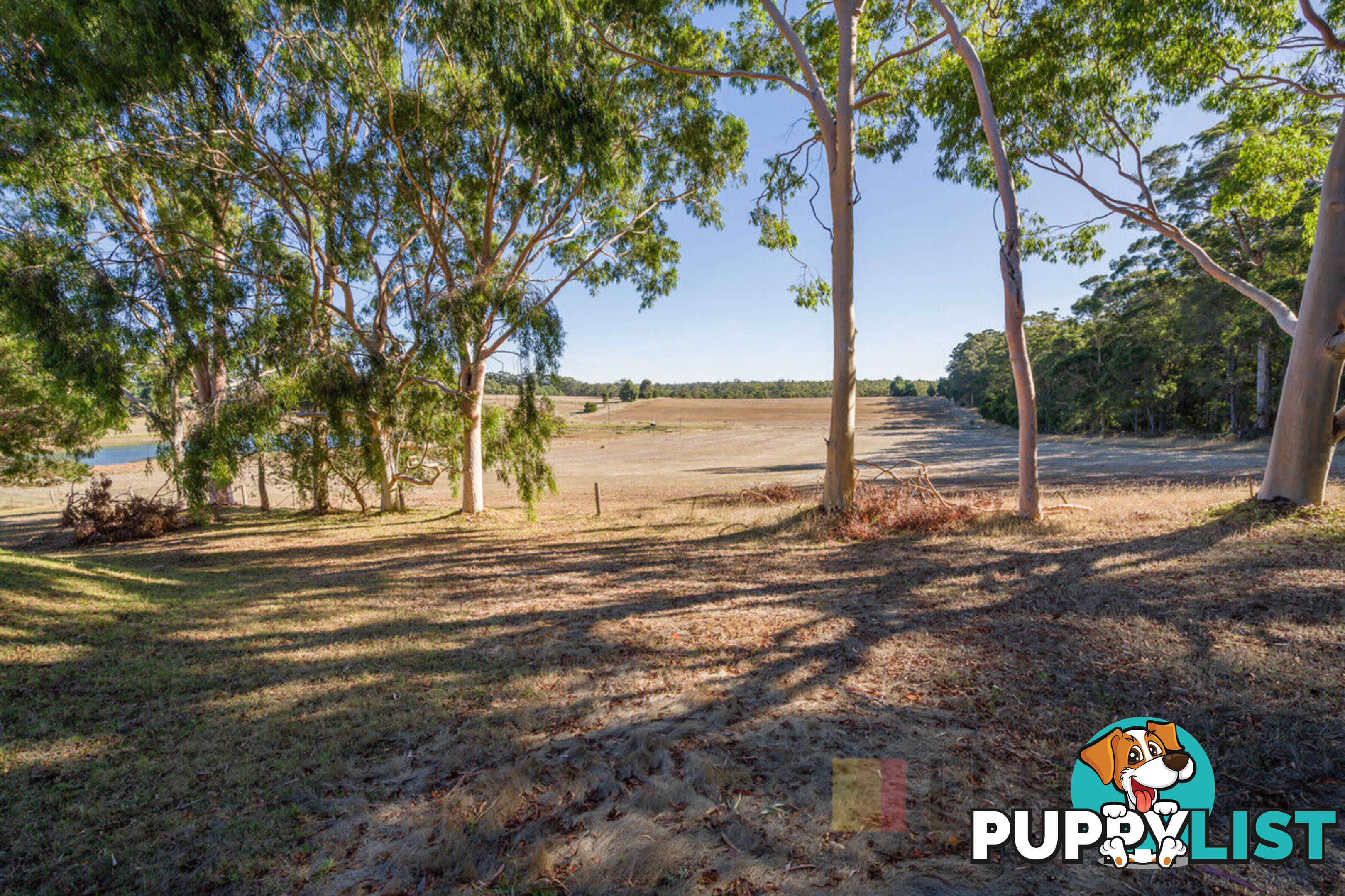 29406 South Western Highway (Diamond Tree) MANJIMUP WA 6258