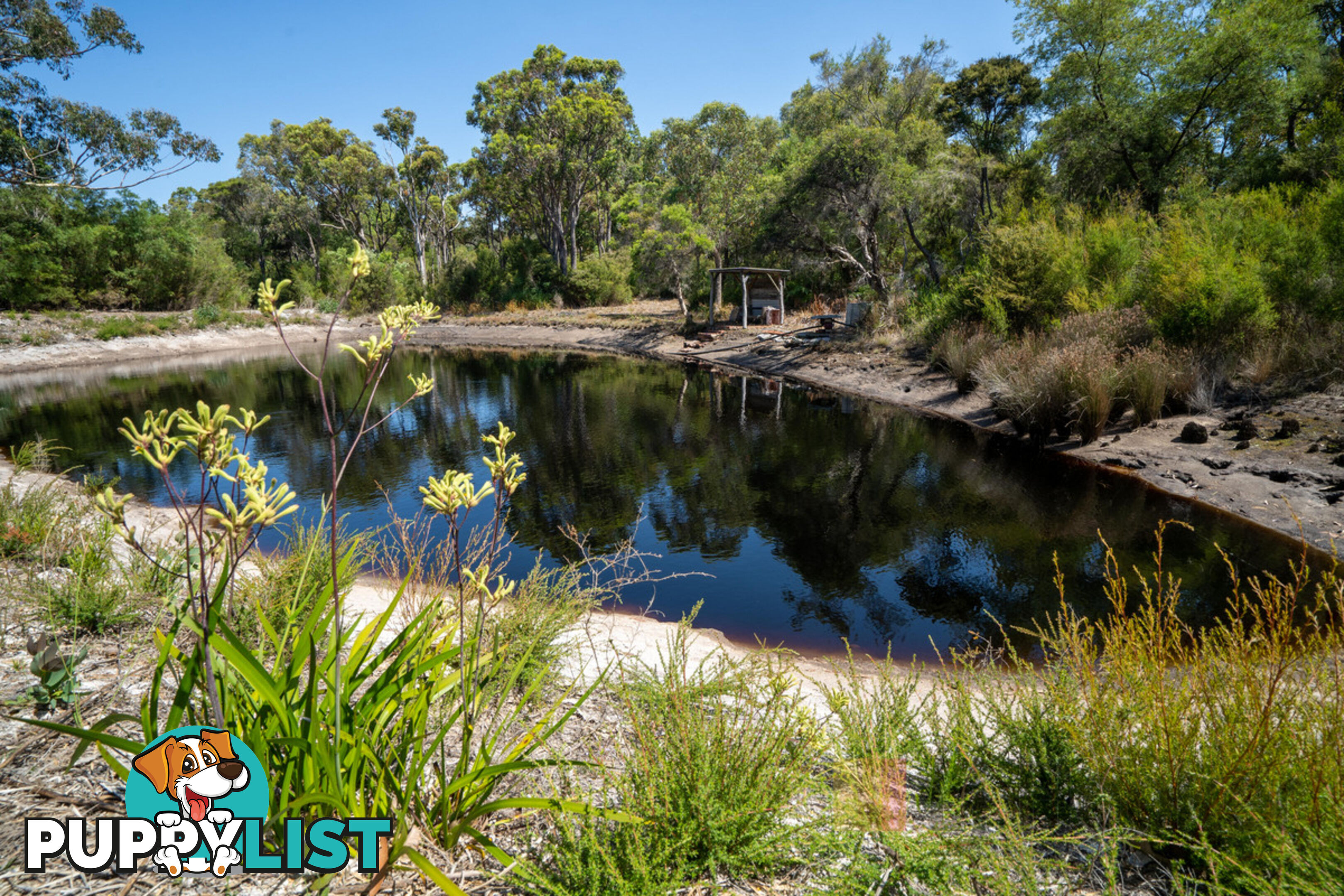 77 Crowea Road (Crowea) NORTHCLIFFE WA 6262