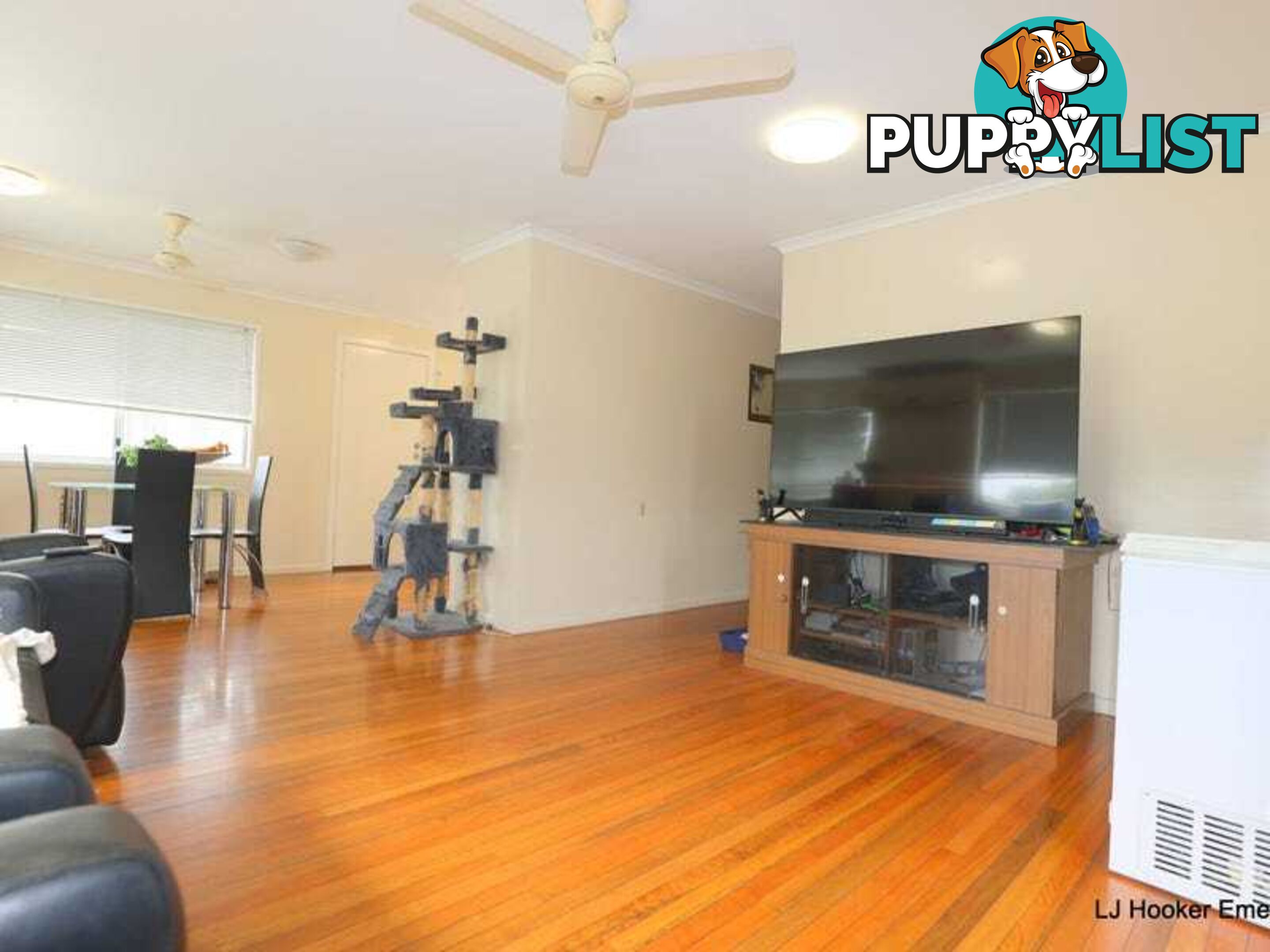 86 Burn Street CAPELLA QLD 4723