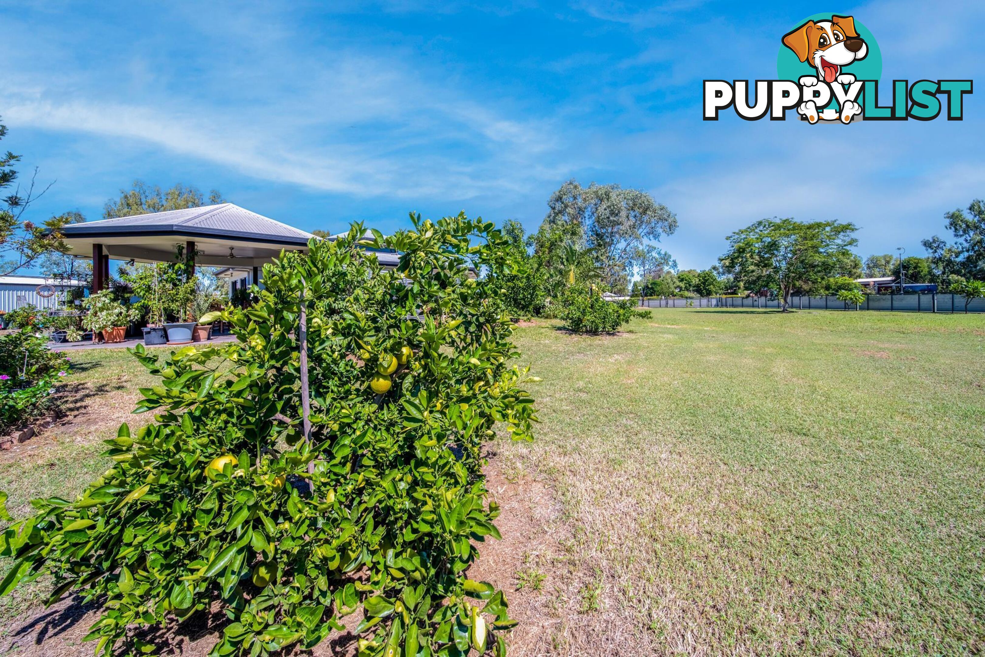 1 Fig Tree Court EMERALD QLD 4720