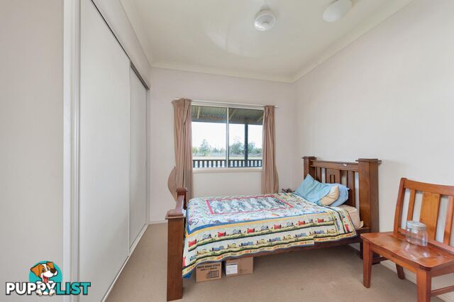 31 Gordon Street CAPELLA QLD 4723