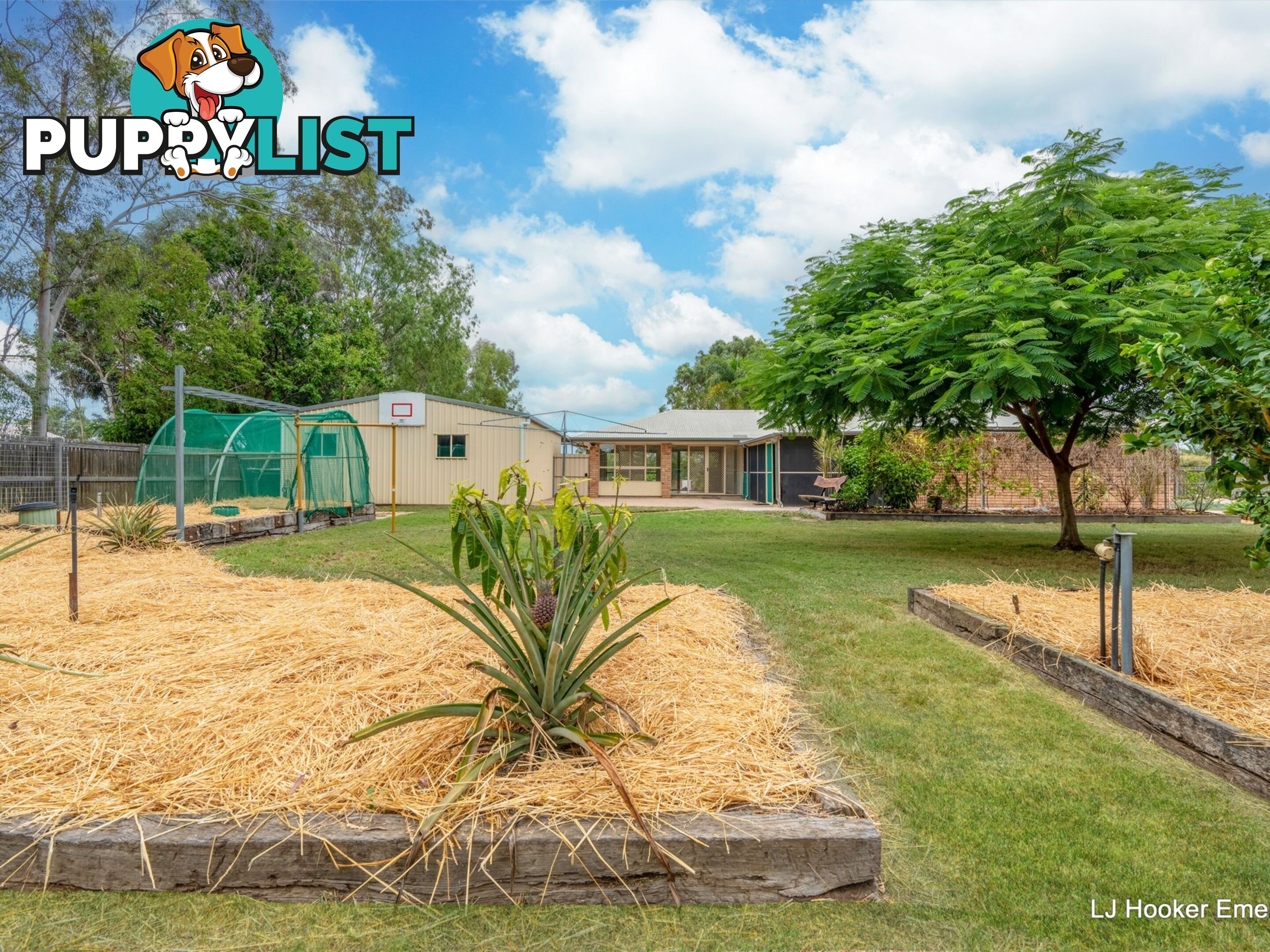 3 Edgewood Drive EMERALD QLD 4720