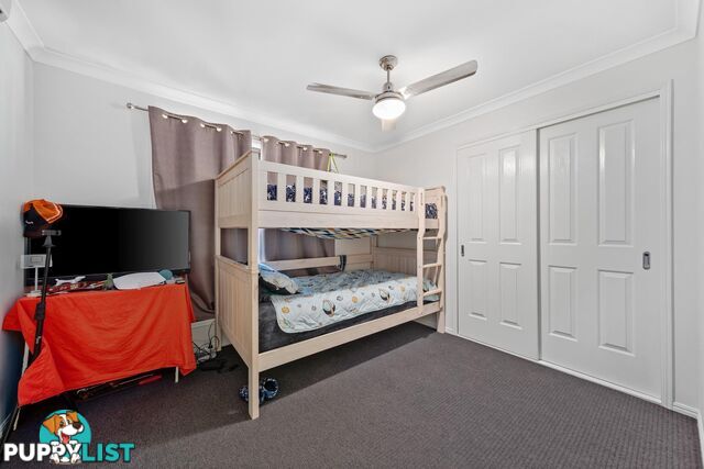6 Wright Street EMERALD QLD 4720