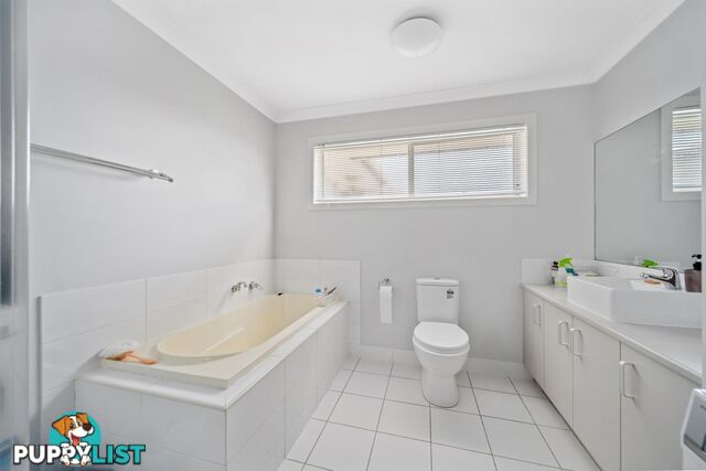 26 Amber Street EMERALD QLD 4720