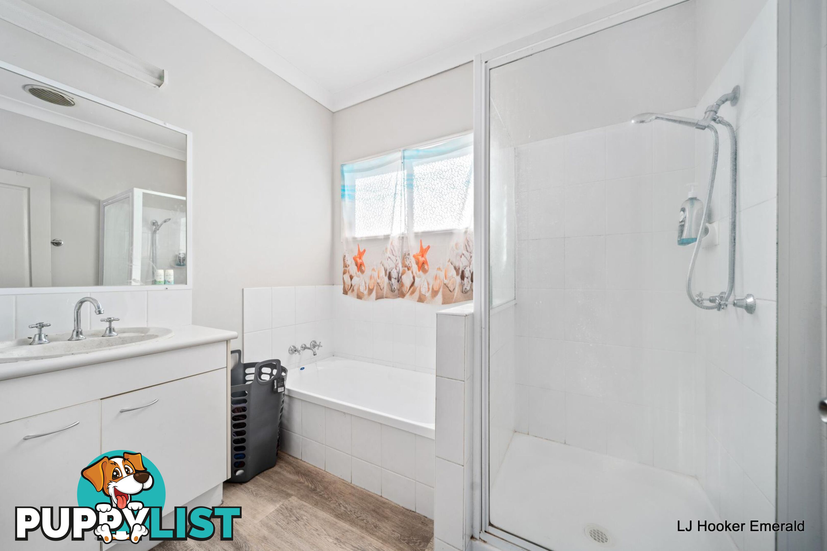13 Newell Court CAPELLA QLD 4723