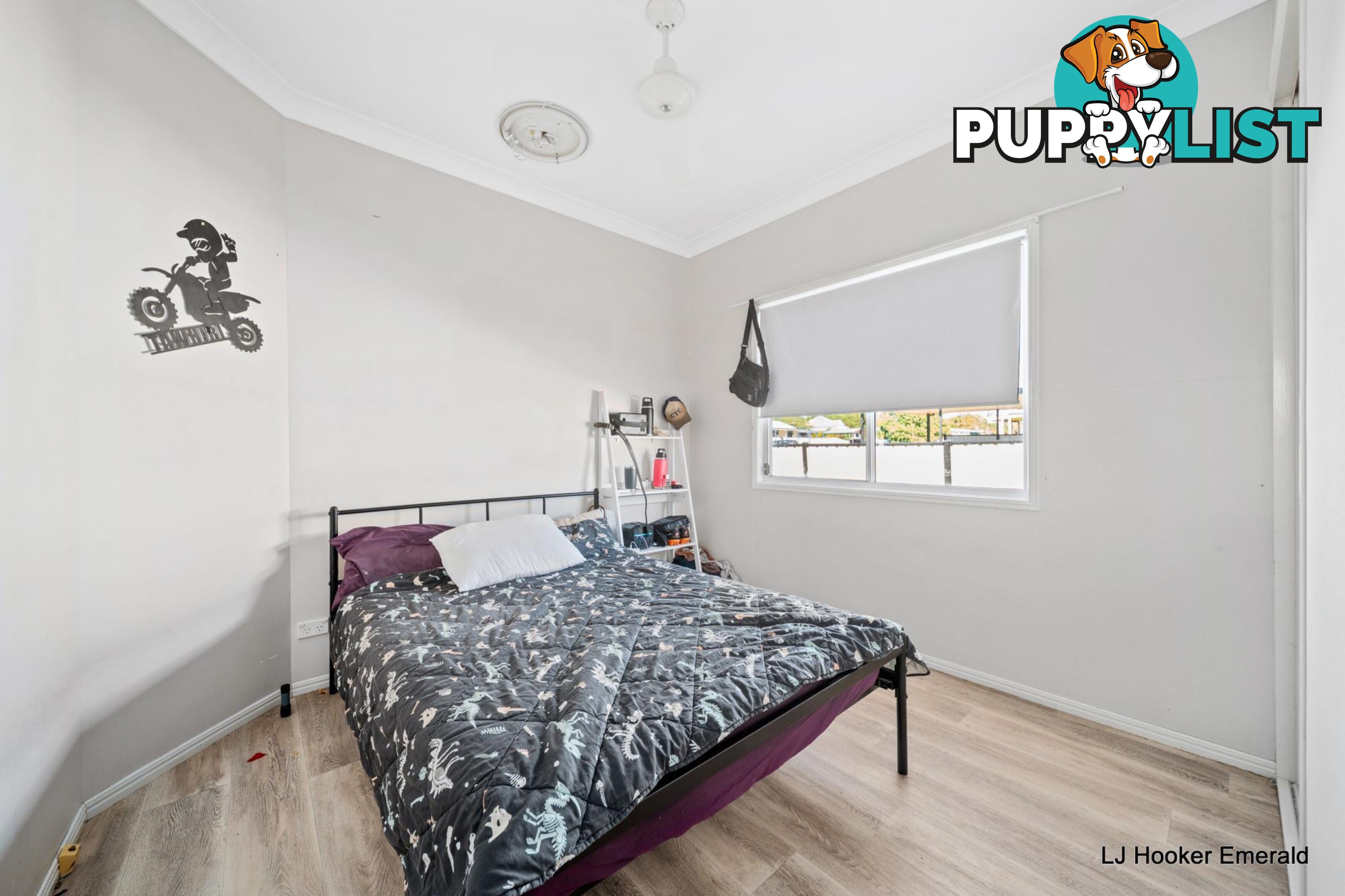 13 Newell Court CAPELLA QLD 4723