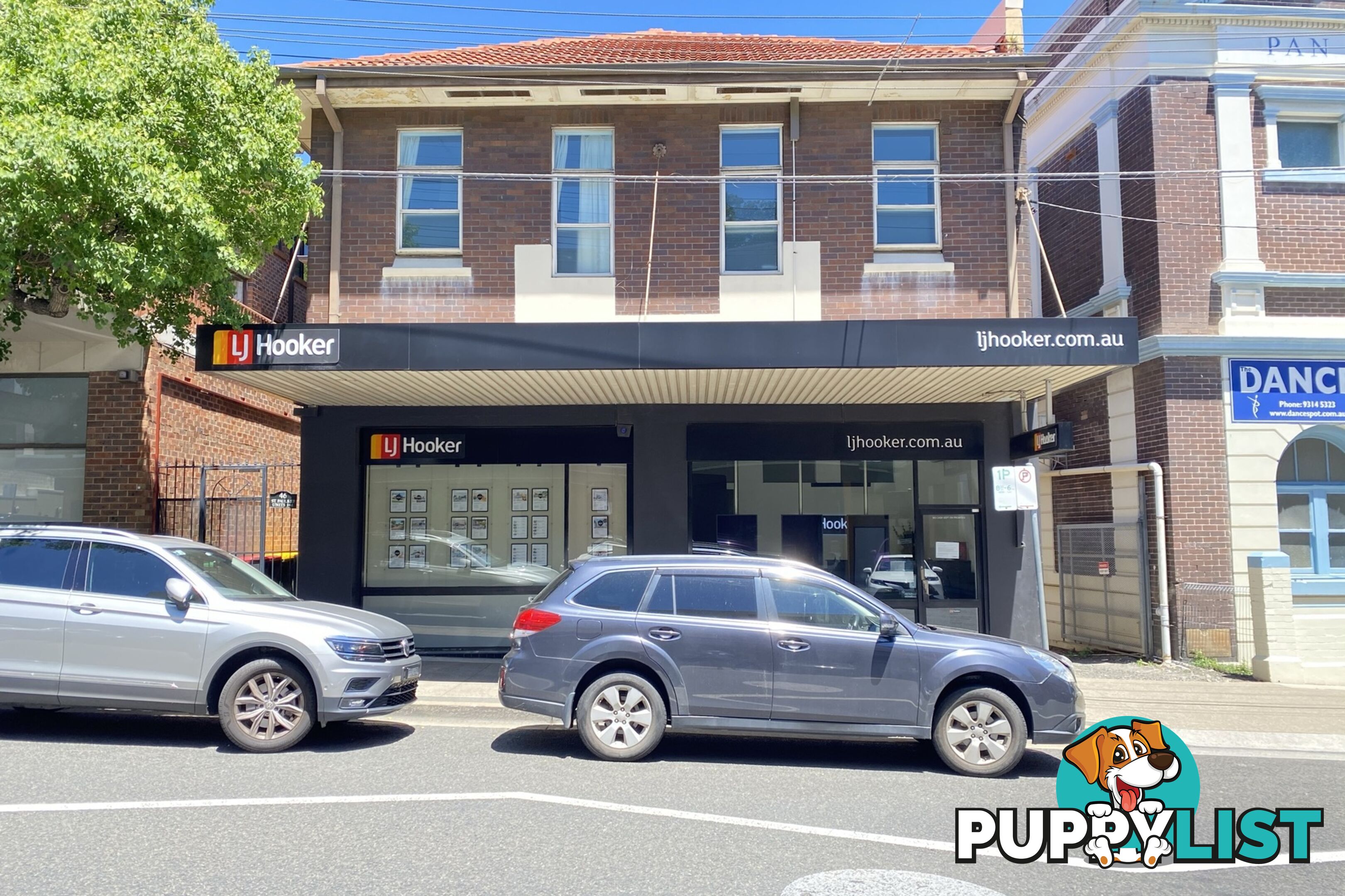 46 St Pauls Street RANDWICK NSW 2031