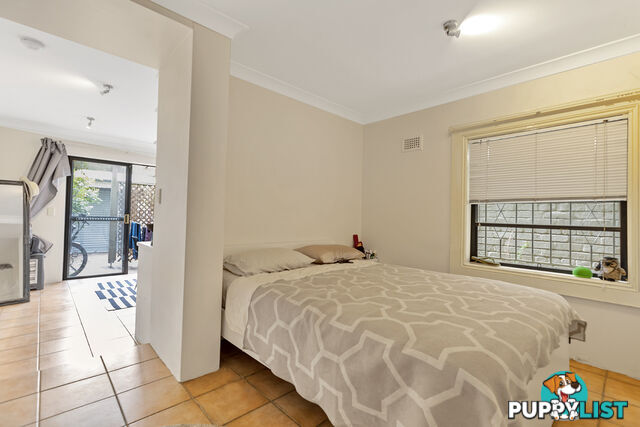 3/205 Avoca Street RANDWICK NSW 2031