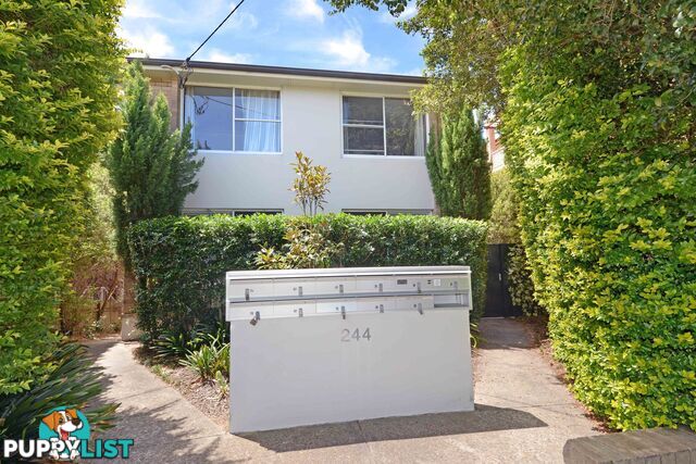 4/244 Maroubra Road MAROUBRA NSW 2035