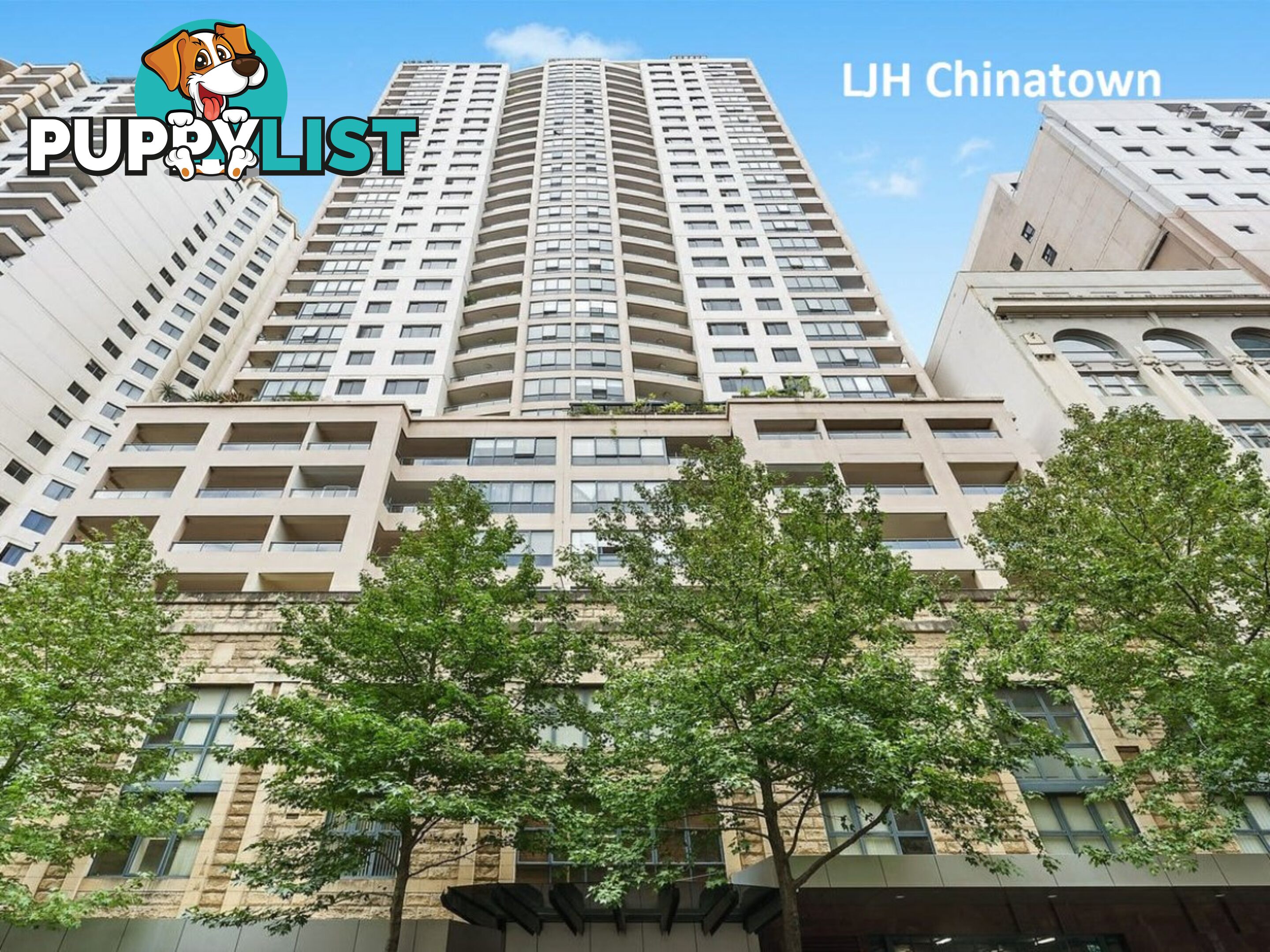 Apartment 181/303 Castlereagh Street SYDNEY NSW 2000