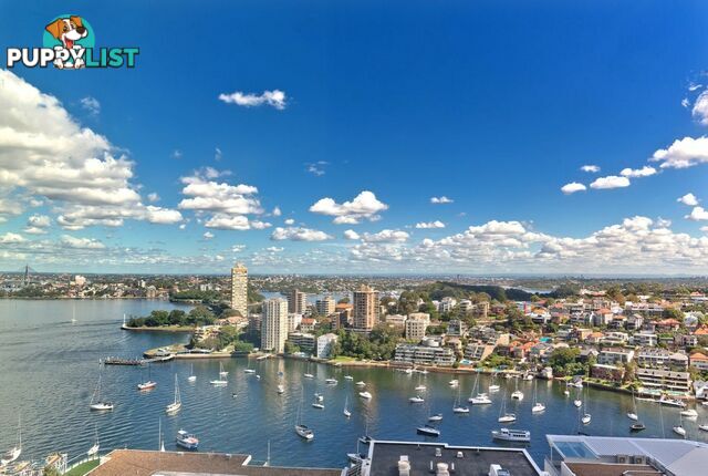 80 Alfred Street MILSONS POINT NSW 2061