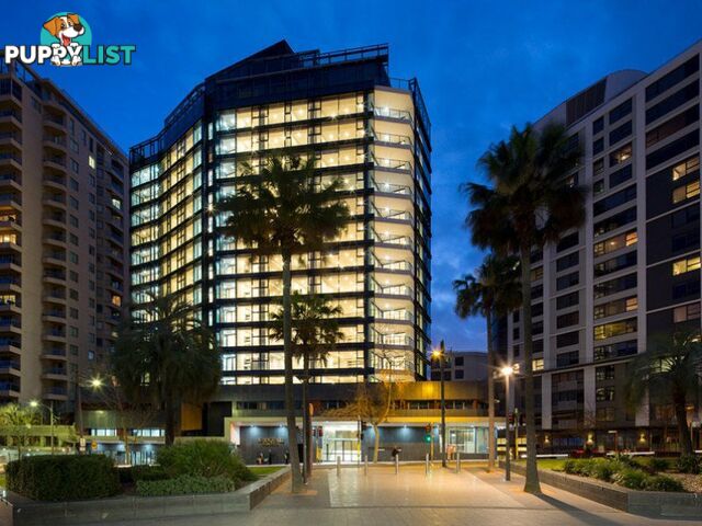 80 Alfred Street MILSONS POINT NSW 2061